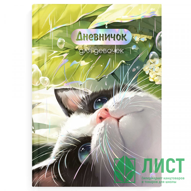 Дневничок для девочки А5 твердая обложка 48 листов (Феникс) Утренний кот арт.70159