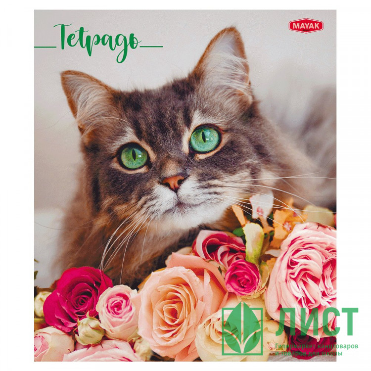 Тетрадь А5 клетка 48 листов скоба (Маяк) Котики в цветах ассорти арт.Т-5048 К2