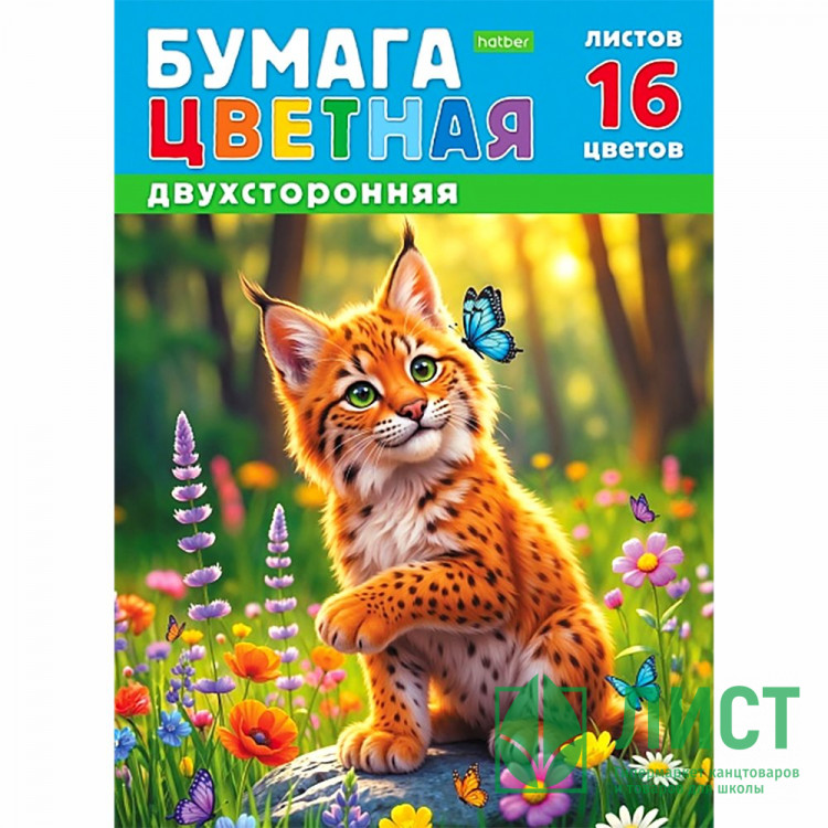 Цветная бумага А4 16 листов 16 цветов немелованная двухсторонняя Hatber Рысенок на скобе арт.16Бц4_36117