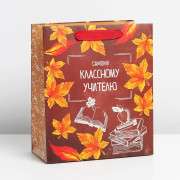 Пакет подароч.бумаж. 27*23*11,5см "Учитель года" арт.7489530