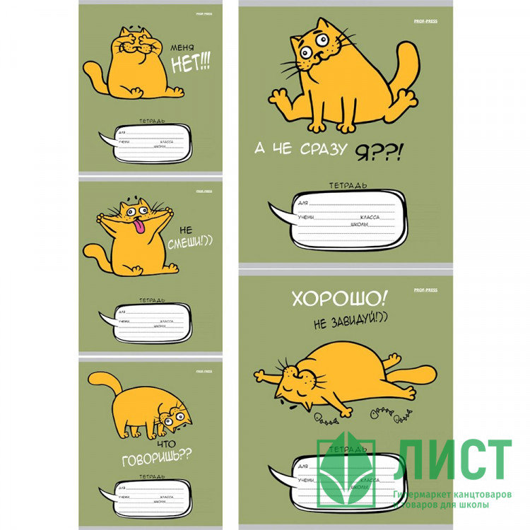 Тетрадь 24 листа линия (Prof-Press) Забавный кот цветная мелованная обложка ассорти арт.24-5799