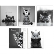 Тетрадь А5 клетка 48 листов скоба (Феникс) Монохромные коты выборочный твин-лак ассорти арт.70920