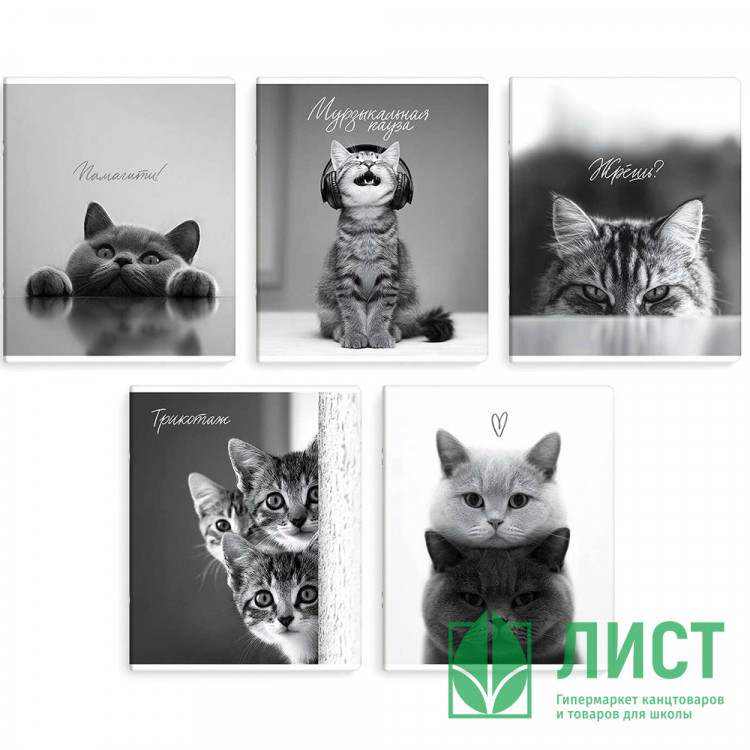 Тетрадь А5 клетка 48 листов скоба (Феникс) Монохромные коты выборочный твин-лак ассорти арт.70920