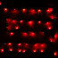 Гирлянда электрическая уличная точечная 11м 120LED цвет красный (черный.провод) 8режимов арт.183-162 - my_208066
