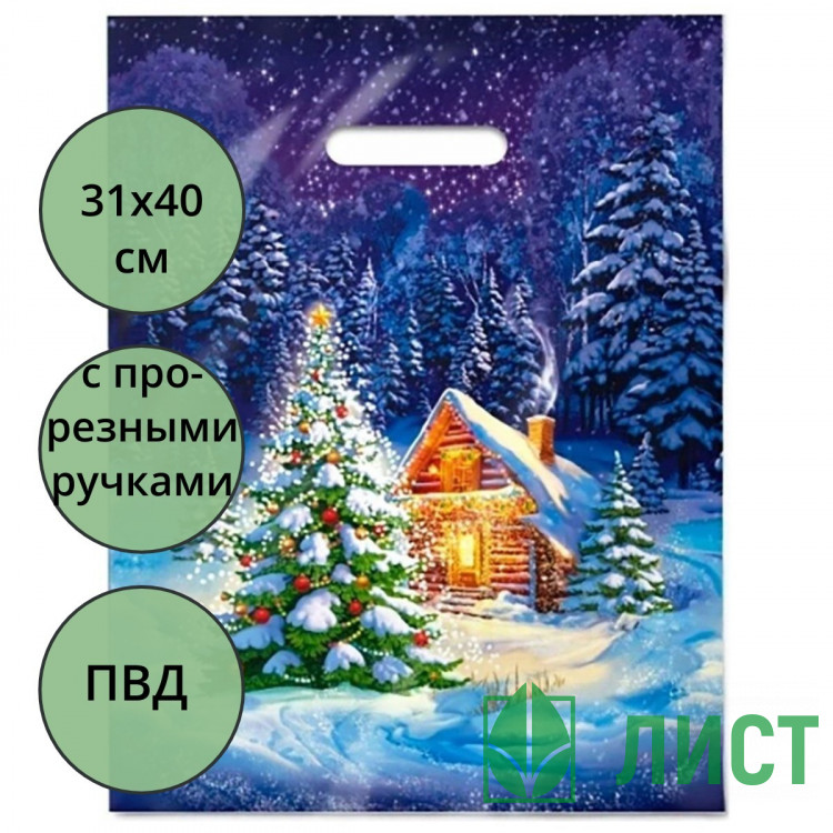 Пакет ПВД прорезная ручка 31*40 60мкм НГ Ночное чудо