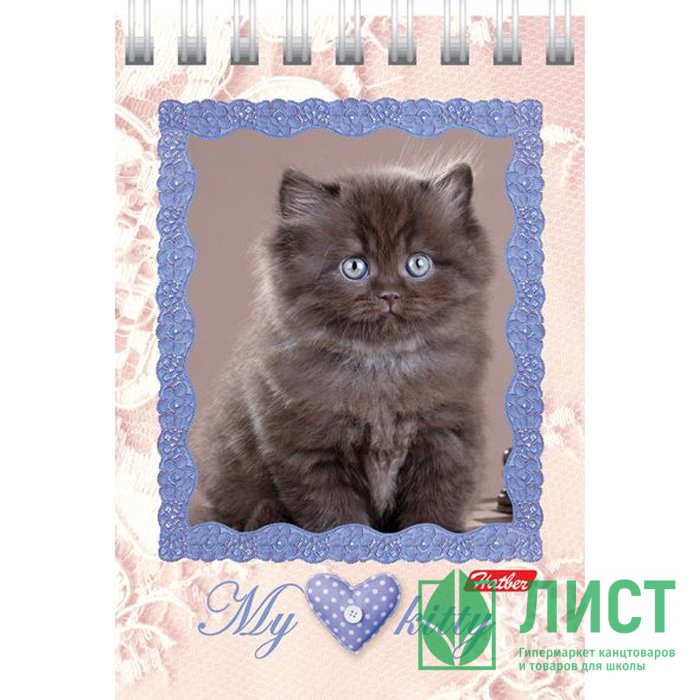 Блокнот А7 мягкая обложка на гребне 40 листов (Hatber) Котята клетка арт 40Б7B1гр