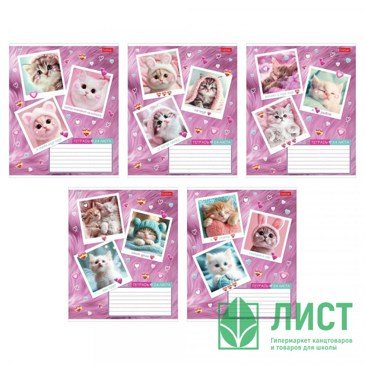 Тетрадь 24 листа клетка (Hatber) Мяу-статусы ассорти арт 24Т5В1