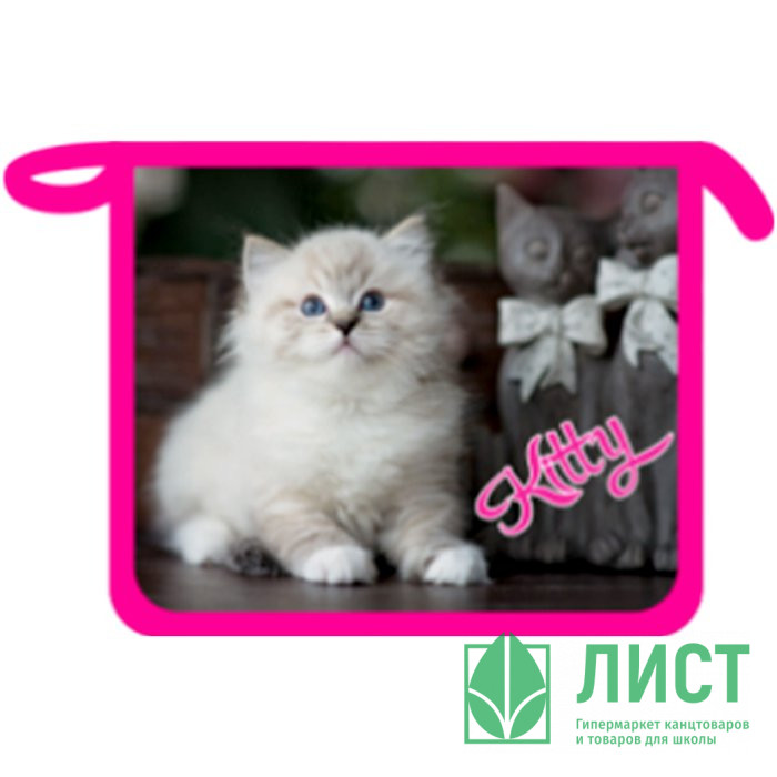 Папка шк. д/тетр. А5 на молнии "Котенок Kitty" (Ст.25)