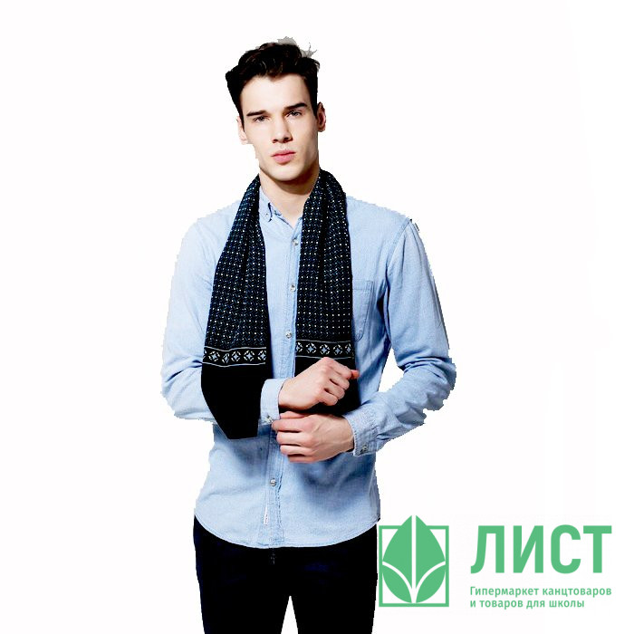 Палантин мужской "Лукас" цв.чёрный,синий арт.3004564