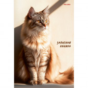 Записная книжка А5 твердая обложка 80 листов (Prof-Press) Рыжий кот в лучах солнца глянцевая ламинация арт.80-7581