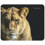 Коврик для мыши игровой Defender,Wild Animals (220х180мм) ткань - 