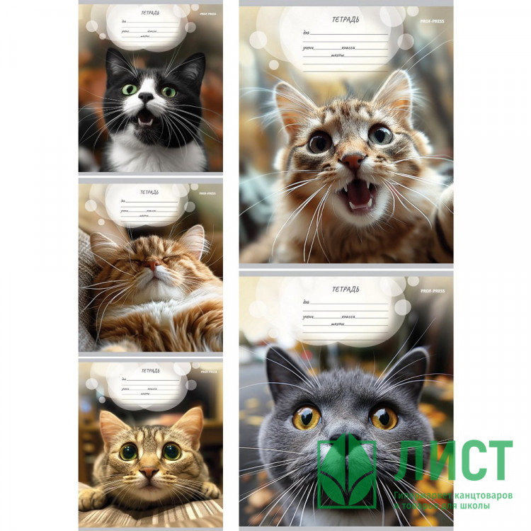 Тетрадь 12 листов линия (Prof-Press) Мордочки котиков цветная мелованная обложка ассорти арт.Т12-4877