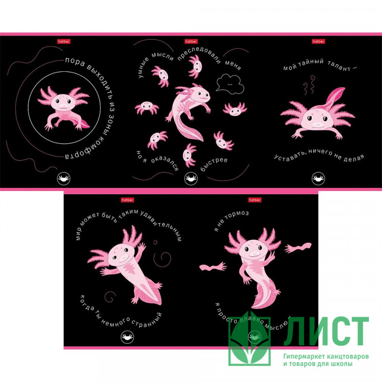 Тетрадь А5 клетка 48 листов скоба (Hatber) Малыш-аксолотль выборочный лак ассорти арт 48Т5вмВ1