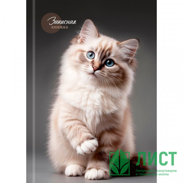 Записная книжка А5 твердая обложка 160 листов (Prof-Press) Красивый кот-1 глянцевая ламинация лён клетка арт.160-9424
