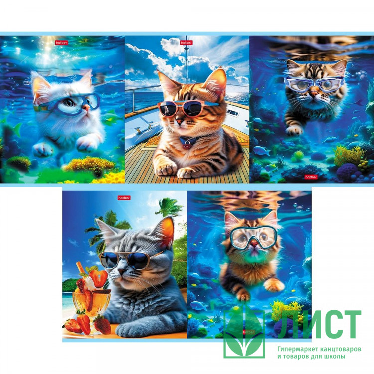 Тетрадь А5 клетка 40 листов скоба (Hatber) Коты на релаксе ассорти арт.40Т5В1
