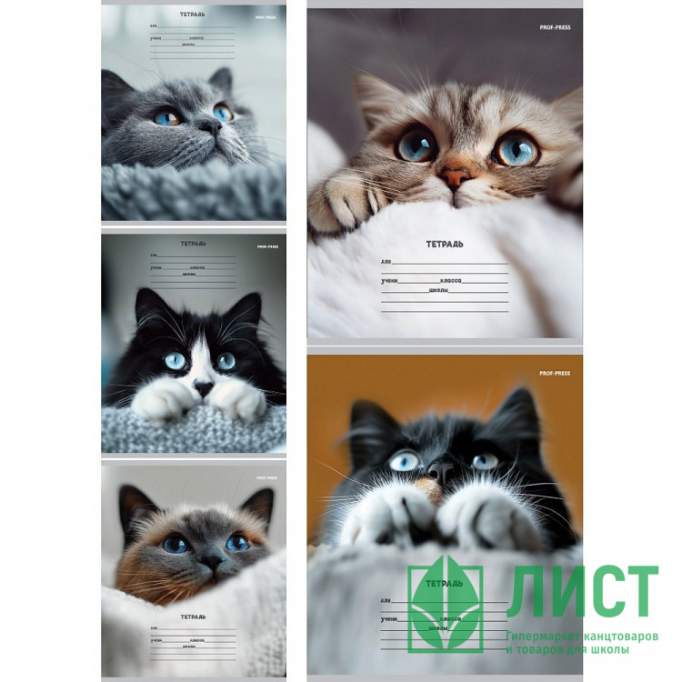 Тетрадь 12 листов косая линия с дополнительной горизонтальной Prof-Press Кошачьи мордочки ассорти арт.12-4460
