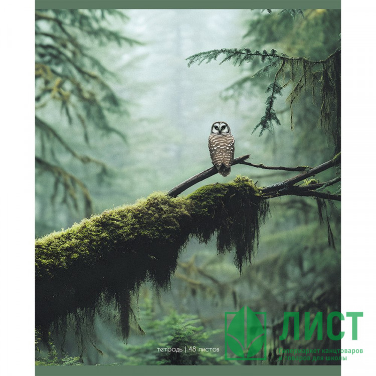 Тетрадь А5 клетка 48 листов скоба (Маяк) Природа Туман арт.Т-5048 К2