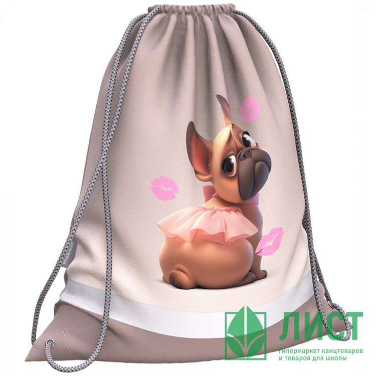 Сумка для сменной обуви 1 отделение (ErichKrause) Frenchie 36,5х44 см арт.64940