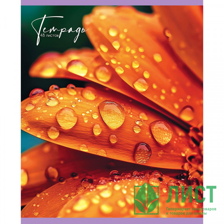 Тетрадь А5 клетка 48 листов скоба (Маяк) Цветы Макро арт.Т-5048 К2