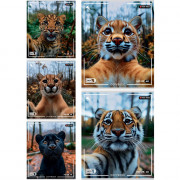 Тетрадь А5 клетка 48 листов скоба (Prof-Press) Селфи диких кошек цветная мелованная обложка твин-лак ассорти арт.Т48-5338