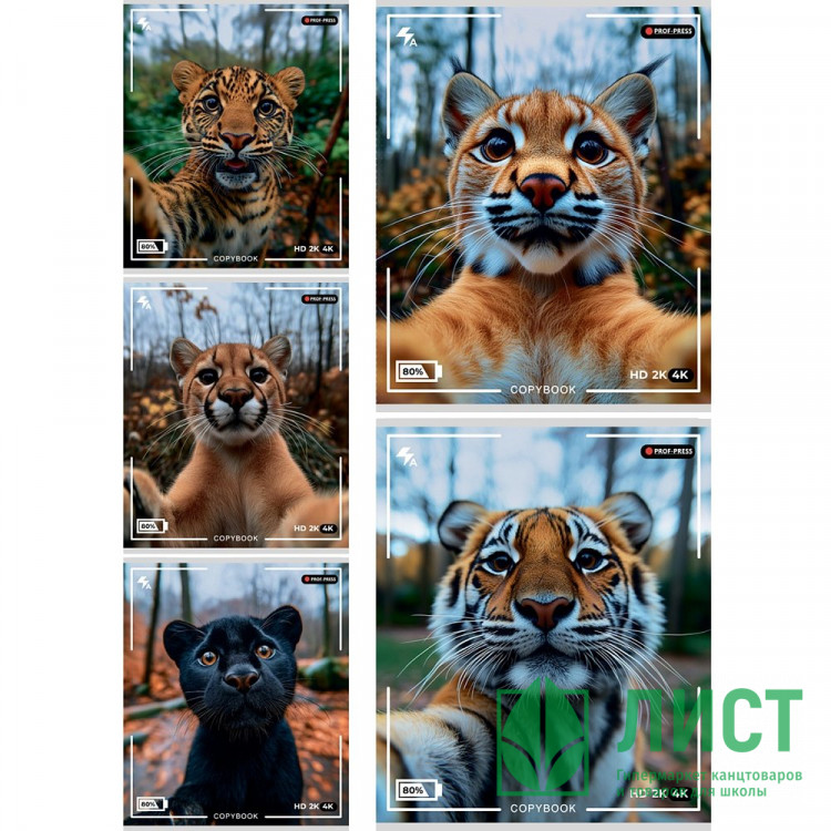 Тетрадь А5 клетка 48 листов скоба (Prof-Press) Селфи диких кошек цветная мелованная обложка твин-лак ассорти арт.Т48-5338