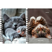 Записная книжка А6 мягкая обложка на гребне 120 листов (Prof-Press) Милые котики-6 глянцевая ламинация арт.ЗК120-3019
