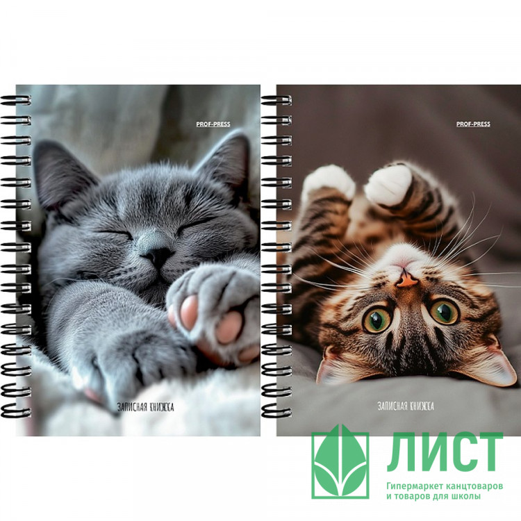 Записная книжка А6 мягкая обложка на гребне 120 листов (Prof-Press) Милые котики-6 глянцевая ламинация арт.ЗК120-3019