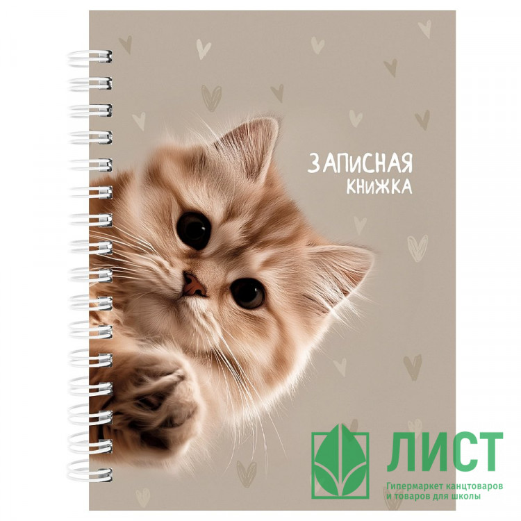Записная книжка А6 твердая обложка на гребне 80 листов (Prof-Press) Забавный котик-3 глянцевая ламинация арт.80-9512