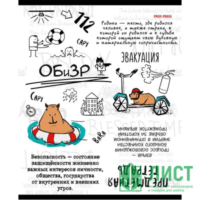 Тетрадь предметная 48 листов (Prof-Press) Капибара ОБиЗР тиснение лен арт.48-0041 Тетрадь предметная 48 листов (Prof-Press) Капибара ОБиЗР тиснение лен арт.48-0041