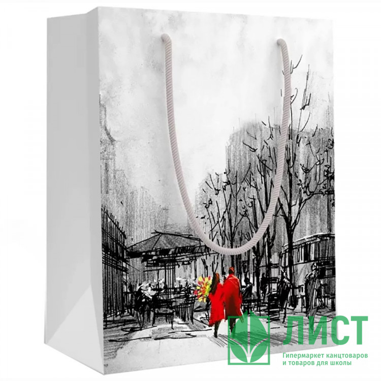 Пакет подароч. бумаж. 23*18см Влюбленные в городе арт.151802285