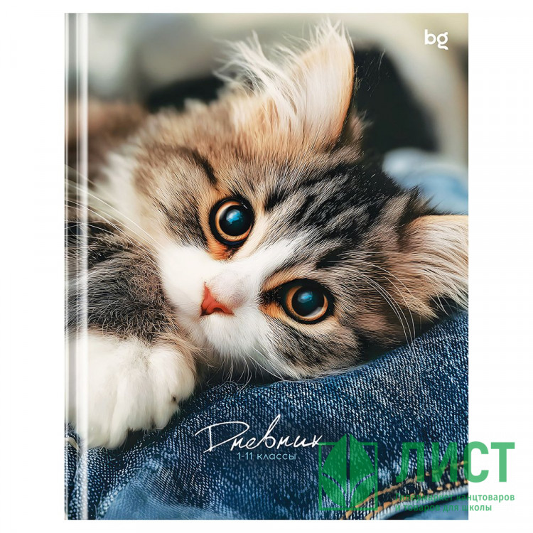 Дневник школьный твердая обложка (BG) Мур матовая ламинация арт.Д5т48_лм 62215