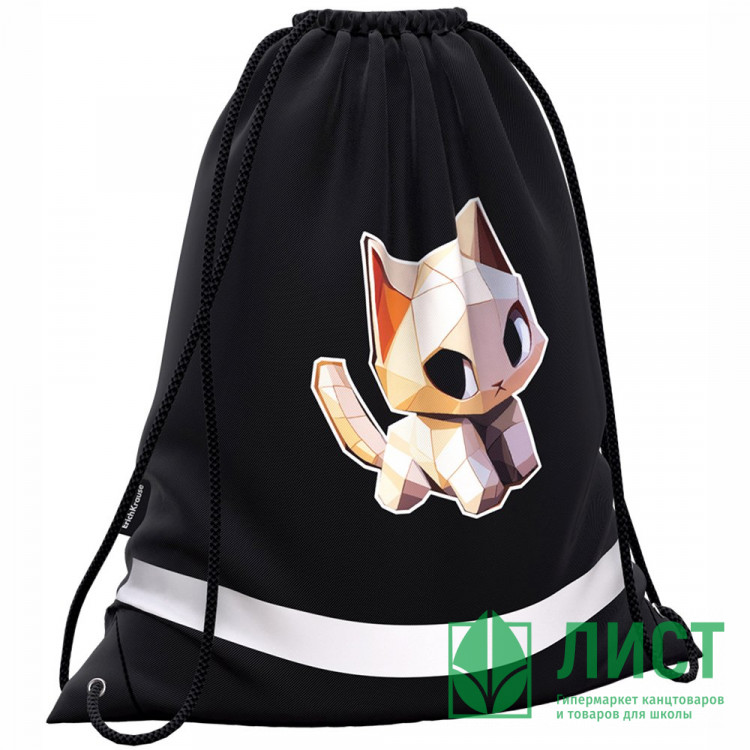 Сумка для сменной обуви 1 отделение (ErichKrause) CatPix 36,5х44 см арт.64944