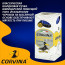 Ручка шариковая прозрачный корпус (Corvina) синий 0,7мм арт.40163/02(Ст.50) - 