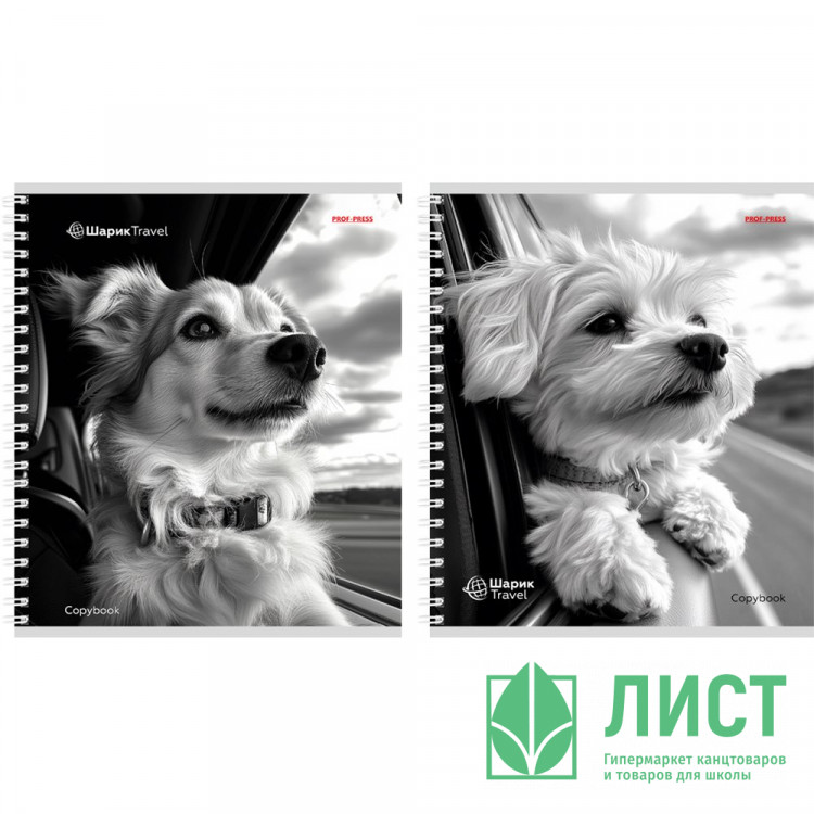 Тетрадь А5 клетка 96 листов на гребне (Prof-Press) Собаки в поездке цветная мелованная обложка ассорти арт.Т96-4887