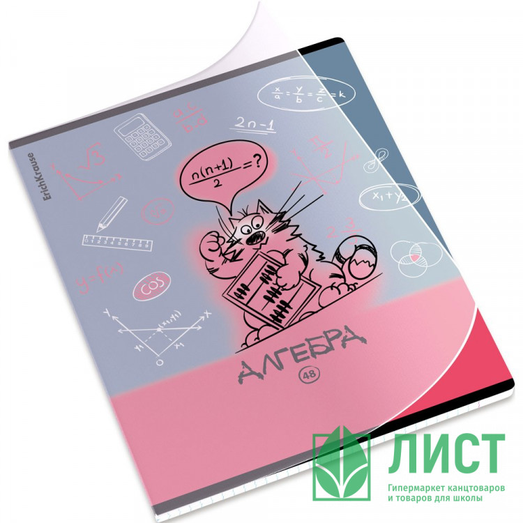 Тетрадь предметная 48 листов (ErichKrause) Котоформулы Алгебра пластиковая обложка арт.62530