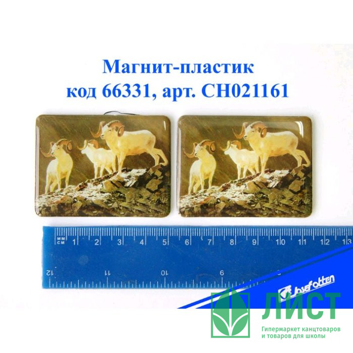 яяяМагнит СИМВОЛ ГОДА-пластик "Горные козлы" 4,5*6см асс. арт.CH021161