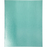 Тетрадь А5 клетка 96 листов бумвинил скоба (Hatber) METALLIC Мята арт 96Т5бвВ1