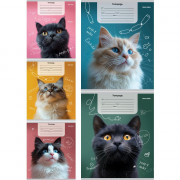 Тетрадь 12 листов косая линия (Profit) Портретные фото котов-1 ассорти арт.12-4277