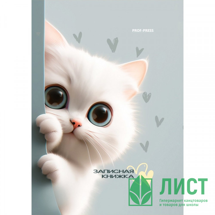 Записная книжка А7 твердая обложка 48 листов (Prof-Press) Обаятельные котята глянцевая ламинация арт.48-8636