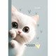 Записная книжка А7 твердая обложка 48 листов Prof-Press Обаятельные котята глянцевая ламинация арт.48-8636