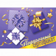 Открытка-конверт для подарочного сертификата "Праздник" 10*7,4см арт.2902004