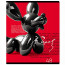 Тетрадь А5 клетка 48 листов скоба (ErichKrause) Balloon Dog ламинация soft-touch выборочный УФ-лак ассорти арт.63306 - 