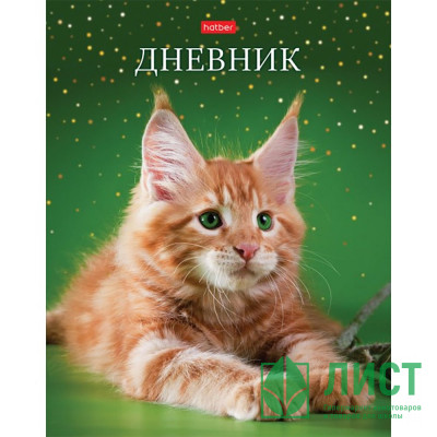 Дневник школьный твердая обложка (Hatber) Рыжий котик глянцевая ламинация арт.40ДТ5В_28474 Дневник школьный твердая обложка (Hatber) Рыжий котик глянцевая ламинация арт.40ДТ5В_28474